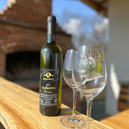 Kuca Za Odmor Baron Villa Kutjevo Exteriör bild