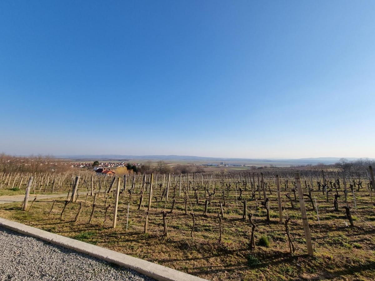 Kuca Za Odmor Baron Villa Kutjevo Exteriör bild
