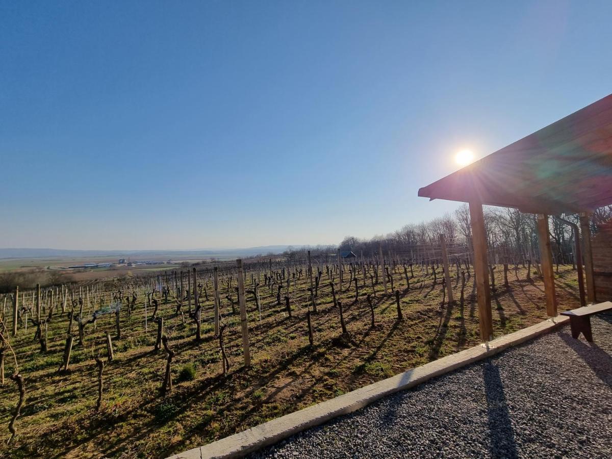 Kuca Za Odmor Baron Villa Kutjevo Exteriör bild