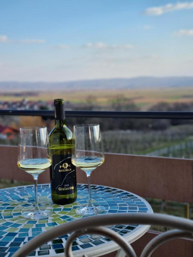 Kuca Za Odmor Baron Villa Kutjevo Exteriör bild