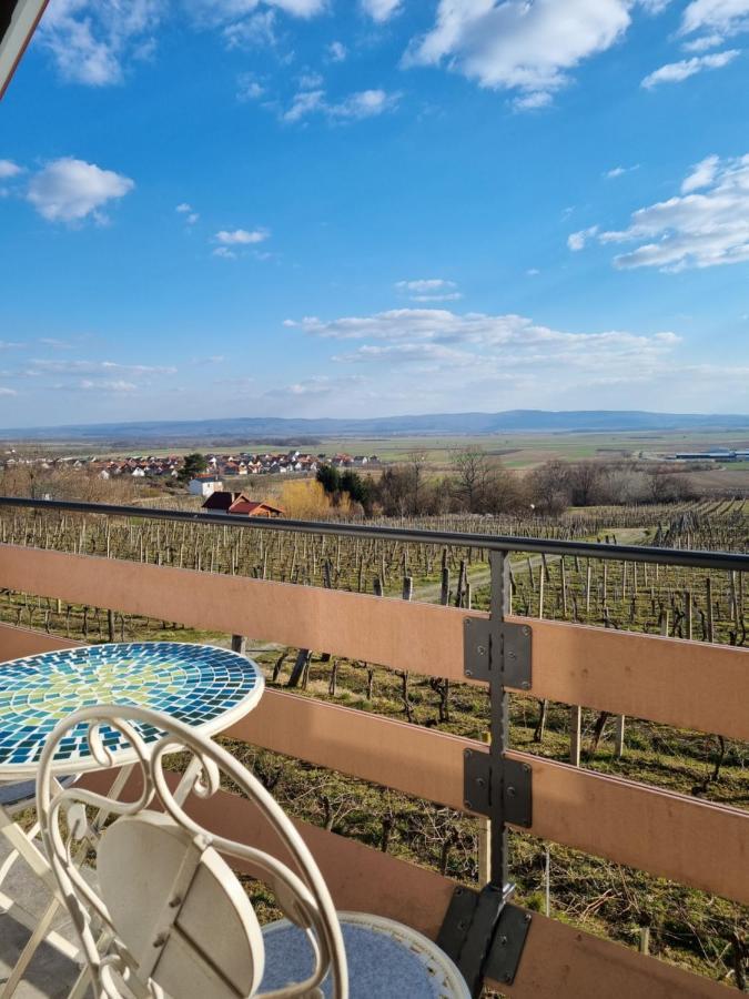 Kuca Za Odmor Baron Villa Kutjevo Exteriör bild
