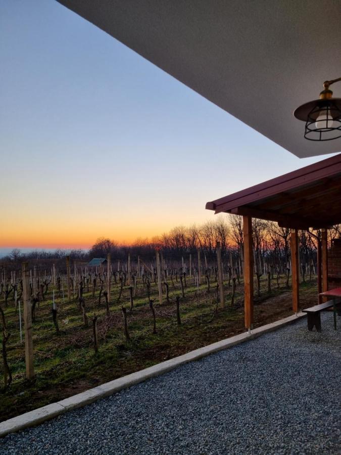 Kuca Za Odmor Baron Villa Kutjevo Exteriör bild