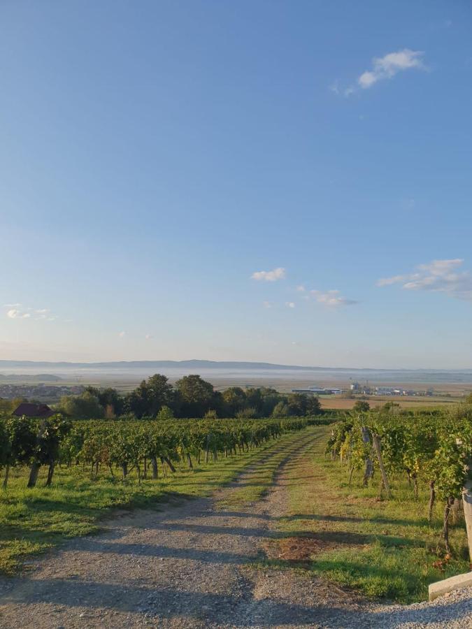 Kuca Za Odmor Baron Villa Kutjevo Exteriör bild