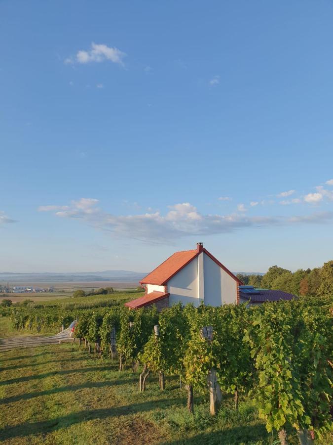 Kuca Za Odmor Baron Villa Kutjevo Exteriör bild