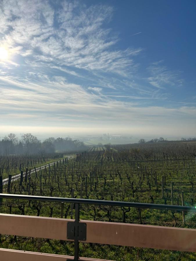 Kuca Za Odmor Baron Villa Kutjevo Exteriör bild